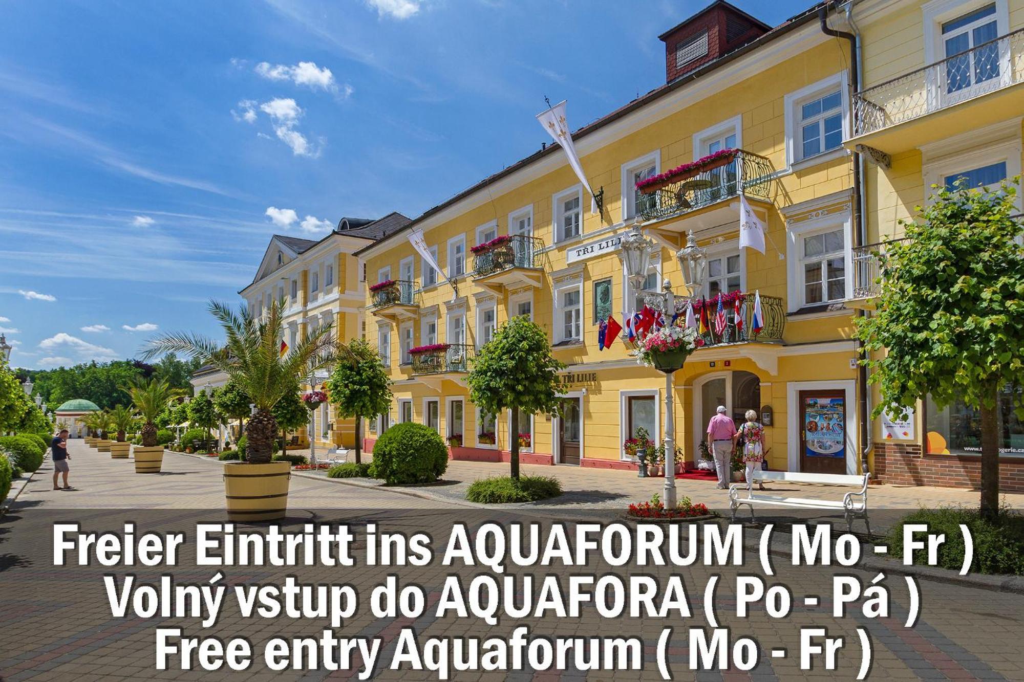 Hotel Three Lilies Inkl Aquaforum Frantiskovy Lazne Exterior foto